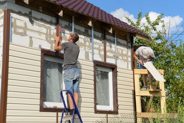Best Insulated Siding Installation  in Vilonia, AR